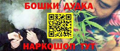индика Можга