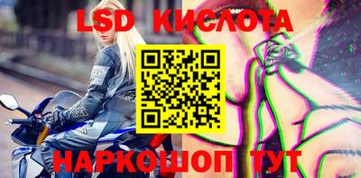 индика Можга