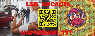 спиды Моздок