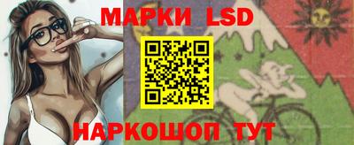 индика Можга