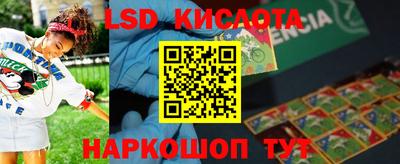 индика Можга