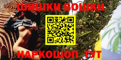 индика Можга