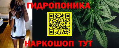 спиды Моздок