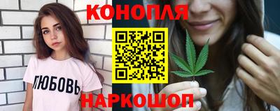 индика Можга