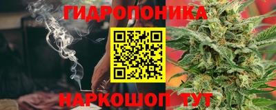 индика Можга