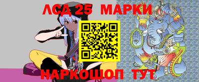 индика Можга