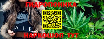 спиды Моздок