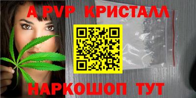 спиды Моздок