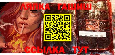 индика Можга