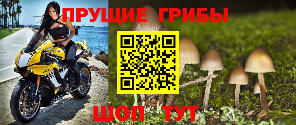 Галлюциногенные грибы мухоморы  Вход с VPN  Элиста  Псилоцибиновые грибы GOLDEN TEACHER 